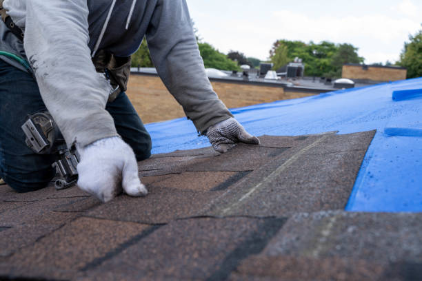 Best Roof Restoration Services  in Bellevue, IL