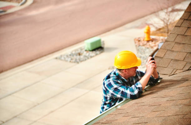 Best Roof Gutter Cleaning  in Bellevue, IL