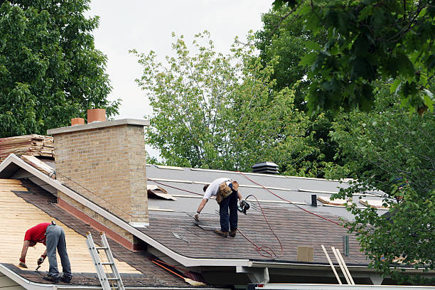 Best Emergency Roof Repair  in Bellevue, IL